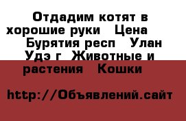 Отдадим котят в хорошие руки › Цена ­ 10 - Бурятия респ., Улан-Удэ г. Животные и растения » Кошки   